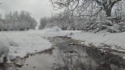 گشت و گذاری به طبیعت برفی روستای تکه + فیلم