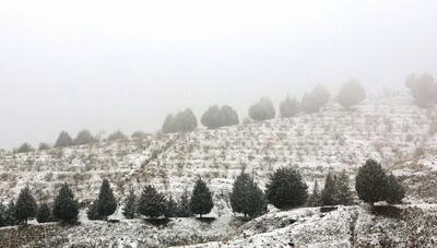 هشدار نارنجی هواشناسی در تهران