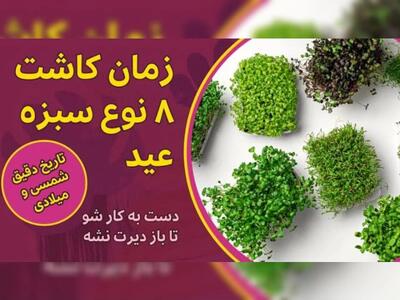 زمان دقیق کاشت ۸ نوع سبزه عید. تاریخ میلادی و شمسی