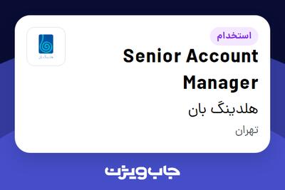 استخدام Senior Account Manager در هلدینگ بان