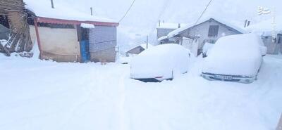 عکس/ بارش ۴۰ سانتیمتری برف در  روستای کجید املش