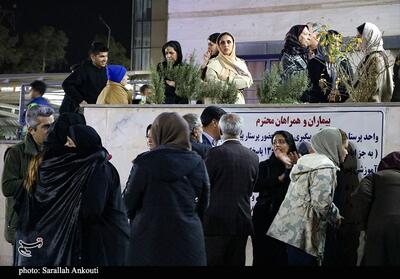 پیگیری دانش‌آموزان حادثه‌دیده کرمانی از سوی بیمه دانا ‌ - تسنیم