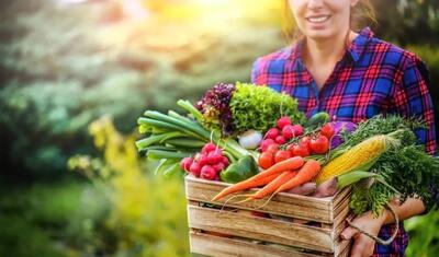 پرورش سبزیجات در خانه ؛ ۱۰ گیاه خوشمزه و آسان برای کاشت