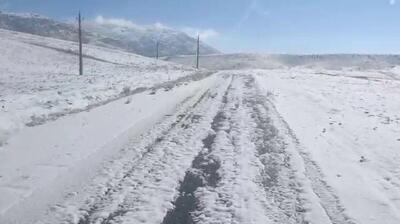 مسدود شدن راه ارتباطی ۱۲۱ روستای بروجرد بر اثر بارش برف