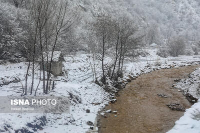 بارش برف و باران در سوادکوه