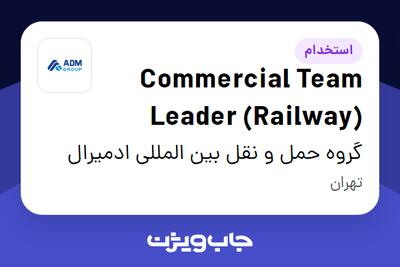 استخدام Commercial Team Leader (Railway) - آقا در گروه حمل و نقل بین المللی ادمیرال