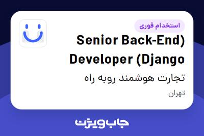 استخدام (Senior Back-End Developer (Django در تجارت هوشمند روبه راه