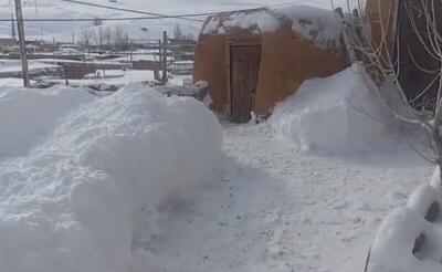 فیلم/ حجم برف در روستای کچه گنبد کردستان