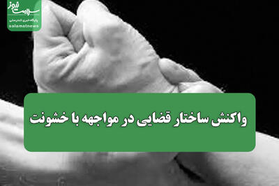 واکنش ساختار قضایی در مواجهه با خشونت