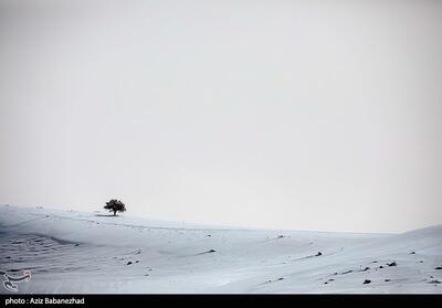 بارش برف در شهرستان الیگودرز - لرستان- عکس مستند تسنیم | Tasnim