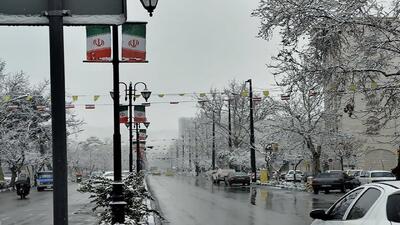 تصاویری از خودنمایی شکوفه های برفی در طبیعت زمستانی تهران