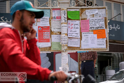 نیمی از جوانان کشور در بازار کار حضور ندارند+ فیلم