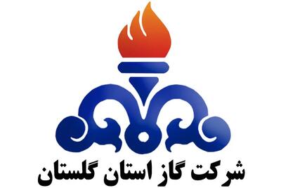 برخی از مشترکان گلستانی روزانه ۲۰ تا ۳۰ مترمکعب گاز مصرف می‌کنند