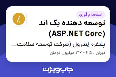 استخدام توسعه دهنده بک اند (ASP.NET Core) در پلتفرم لِندرول (شرکت توسعه سلامت مالی ایرانیان)