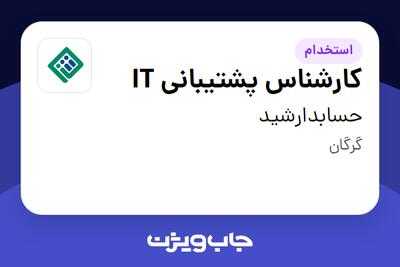 استخدام کارشناس پشتیبانی IT - خانم در حسابدارشید