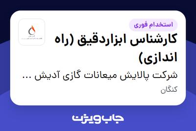 استخدام کارشناس ابزاردقیق (راه اندازی) - آقا در شرکت پالایش میعانات گازی آدیش جنوبی