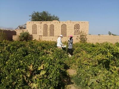 نباید باغ شهر خلیل‌آباد فدای معماری مدرن شود