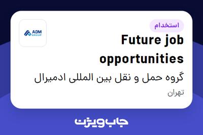 استخدام Future job opportunities در گروه حمل و نقل بین المللی ادمیرال