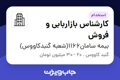 استخدام کارشناس بازاربابی و فروش در بیمه سامان1166(شعبه گنبدکاووس)