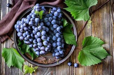 جادوی انگور سیاه برای سلامت