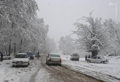 بارش برف و باران در ۱۳ استان