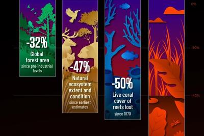 نابودی اکوسیستم‌های زمین در یک نگاه (+ اینفوگرافی)