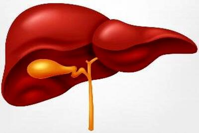 ۳ عامل خطر شایع در بروز آسیب‌های کبدی