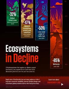 اینفوگرافی/ نابودی اکوسیستم‌های زمین در یک نگاه | اقتصاد24