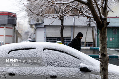 هواشناسی ایران ۲۵ بهمن؛ آغاز بارش برف و باران شدید در ۳۱ استان