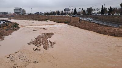 جان دوباره به رودخانه خشک شیراز