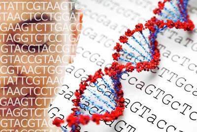 کشف منشأ زبان‌های نیمی از جمعیت جهان از طریق DNA