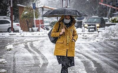 بارش برف و باران در تهران طی دوشنبه