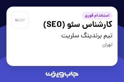 استخدام کارشناس سئو (SEO) در تیم برندینگ سلریت