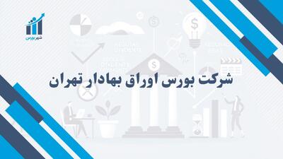 شرکت بورس اوراق بهادار تهران چیست؟