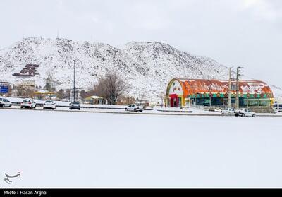 زنجان قندیل بست! - تسنیم