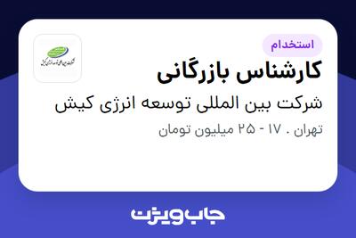 استخدام کارشناس بازرگانی - آقا در شرکت بین المللی توسعه انرژی کیش