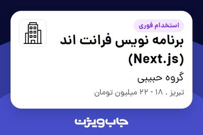 استخدام برنامه نویس فرانت اند (Next.js) در گروه حبیبی