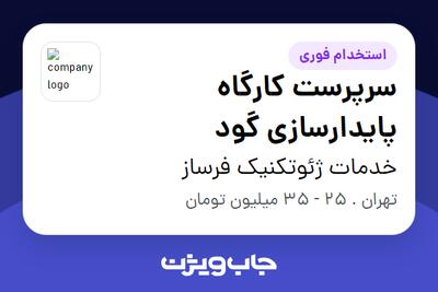 استخدام سرپرست کارگاه پایدارسازی گود - آقا در خدمات ژئوتکنیک فرساز