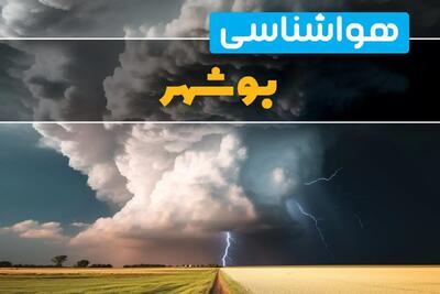 اخبار پیش بینی هواشناسی بوشهر فردا ۲۹ بهمن ماه ۱۴۰۳ | پیش بینی آب و هوا بوشهر فردا دوشنبه ۲۹ بهمن ماه