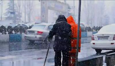 ببینید / از زیبایی‌های برف امروز؛ اقدام تحسین بر انگیز پاکبان برای عبور پیرمرد عابر