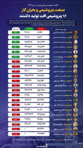 کارنامه پتروشیمی‌های بورسی در دی ۱۴۰۳