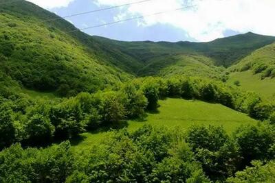 حفاظت از محیط زیست گلستان به جای زندان