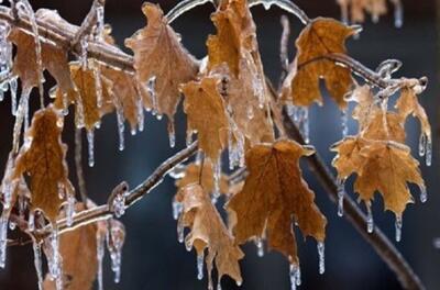 تداوم سرما و یخبندان در کردستان