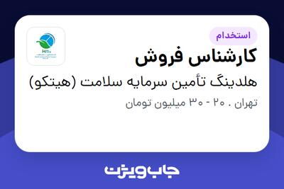 استخدام کارشناس فروش - خانم در هلدینگ تأمین سرمایه سلامت (هیتکو)