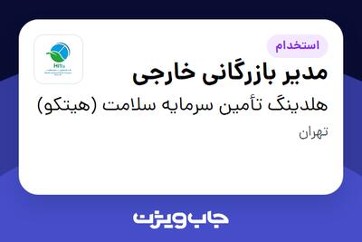 استخدام مدیر بازرگانی خارجی در هلدینگ تأمین سرمایه سلامت (هیتکو)