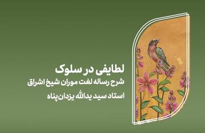 رونمایی از «لطایفی در سلوک» شرحی بر لغت موران شیخ اشراق