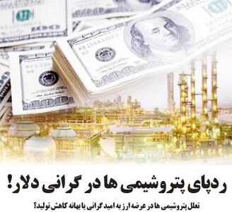 ردپای پتروشیمی ها در گرانی دلار!