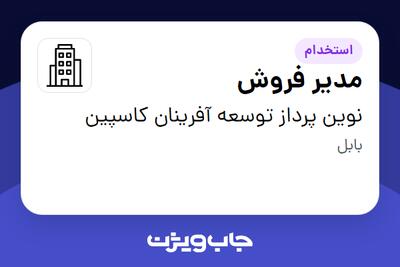 استخدام مدیر فروش در نوین پرداز توسعه آفرینان کاسپین