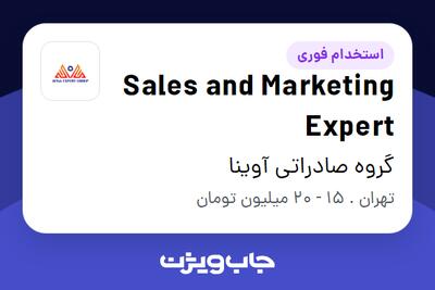 استخدام Sales and Marketing Expert - خانم در گروه صادراتی آوینا