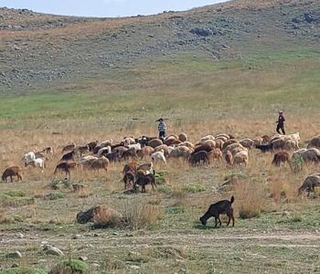 تمهیدات لازم برای کوچ بهاره عشایر کشور فراهم شد